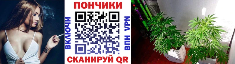 Все наркотики Первомайск Cocaine  Альфа ПВП  ГАШ  МАРИХУАНА  Амфетамин  Меф 