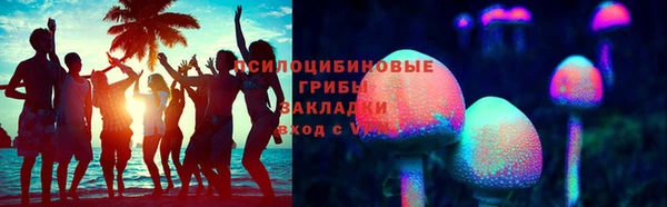 2c-b Белокуриха