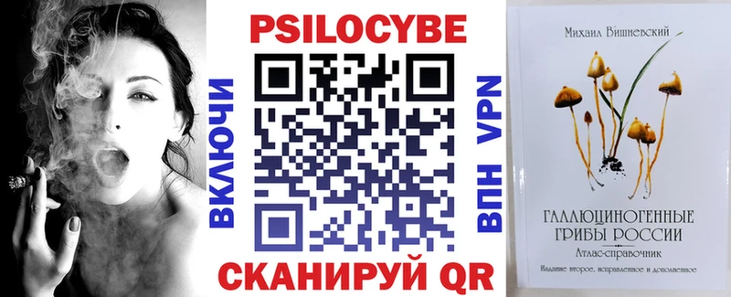 маркетплейс Telegram Первомайск Галлюциногенные грибы Cubensis купить